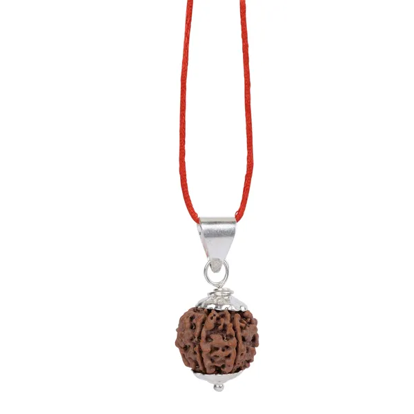 6_Mukhi_Rudraksha_Pendant_With_Thread